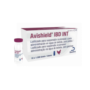Avishield IBD INT 1000D1