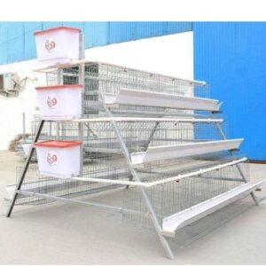 120 Bird Egg Laying Cage