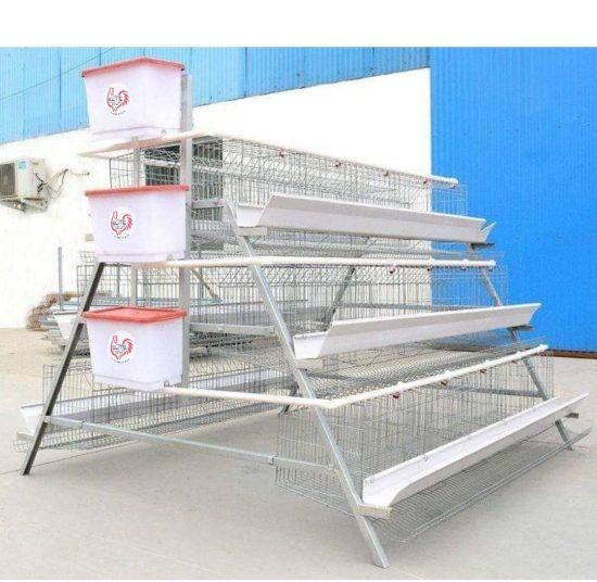 120 Bird Egg Laying Cage