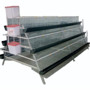 240 Bird Egg Laying Cage