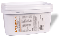 CARMINO + (WISIUM SA) 100G