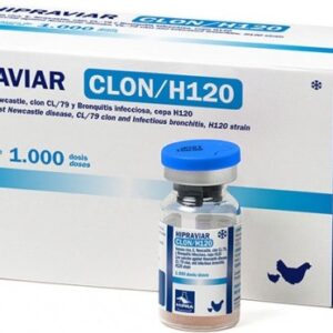 HIPRAVIAR CLON/H120 VACCINE(2500DS)