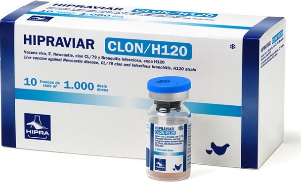 HIPRAVIAR CLON/H120 VACCINE(2500DS)