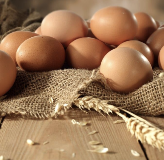 Freshly Laid Table Eggs