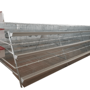 360 Bird Egg Laying Cage