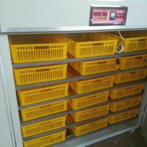 FRD-1584 Incubator & Hatcher
