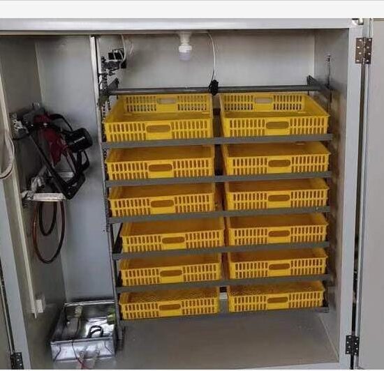 FRD-1056 Incubator & Hatcher