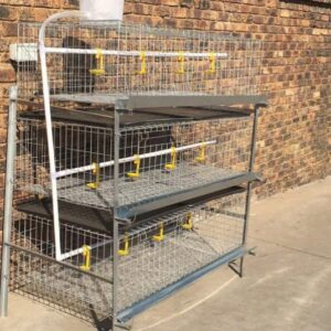 Broiler Cage / Baby Chicken Cage